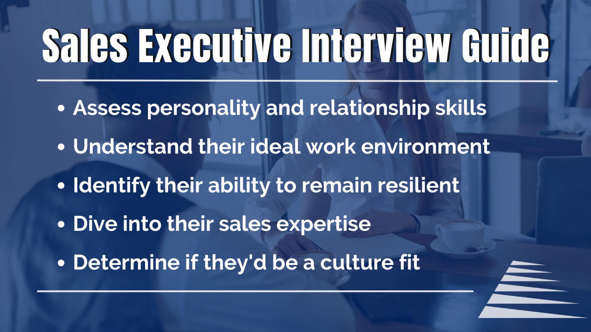 Sales Executive Interview Guide