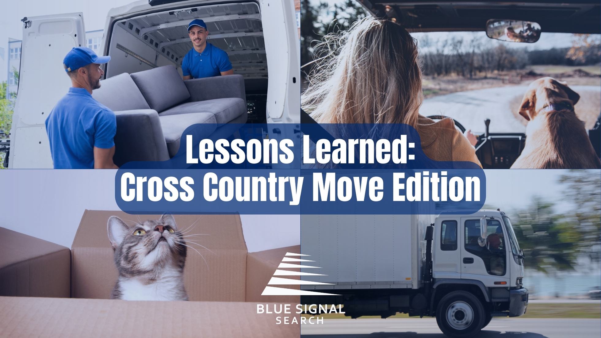 "A collage showing various aspects of moving: a mover loading a sofa into a truck, a dog looking out of a car window, a cat in a box, and a moving truck on the road, all with the Blue Signal Search logo.
