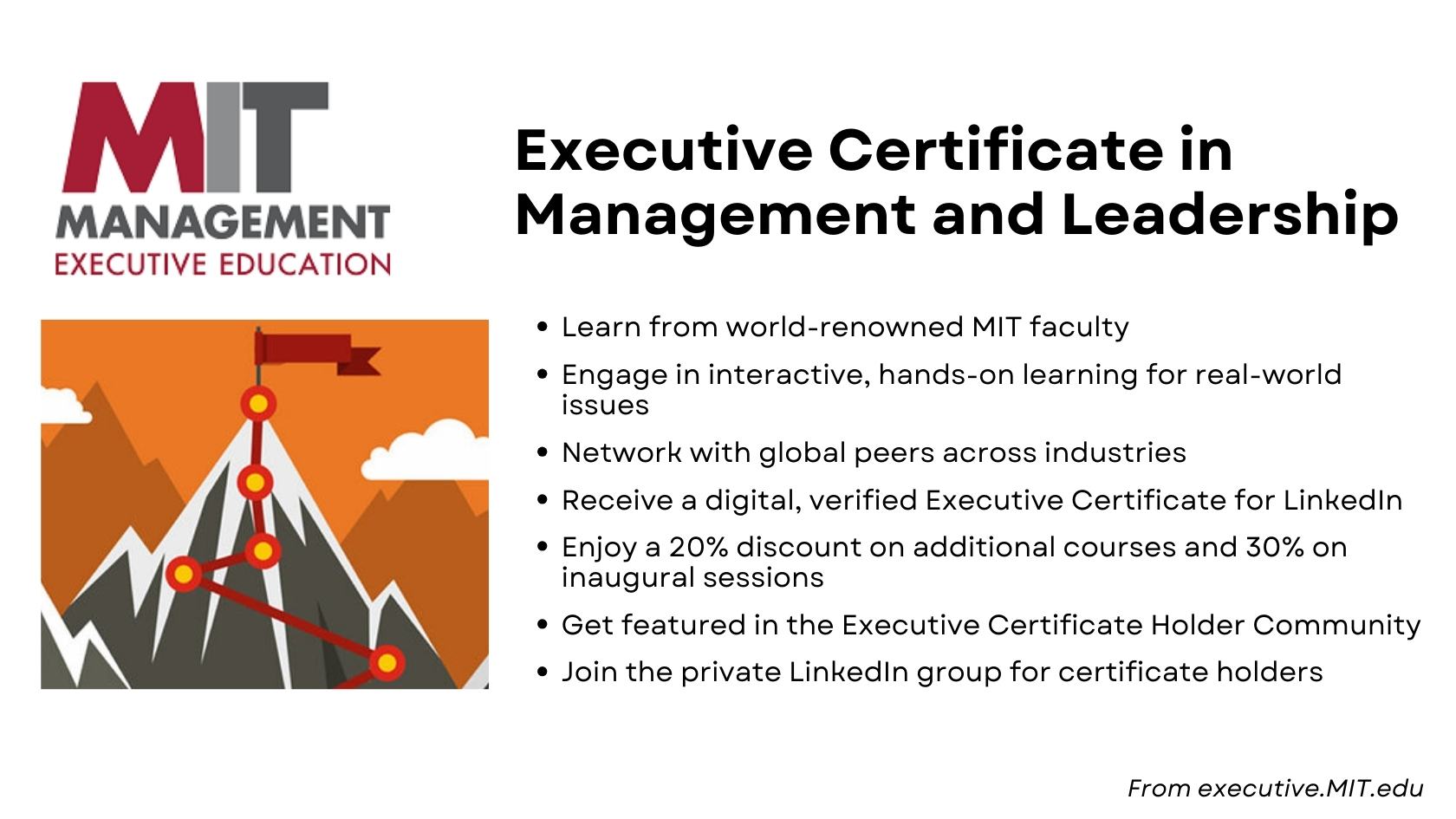 MIT Sloan Executive Certificate in Management and Leadership program benefits overview.